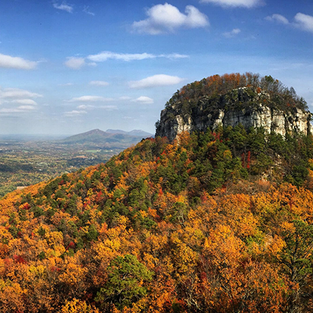 The knob of Pilot Mountain with fall color and a blue sky